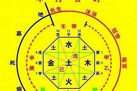 忌土|八字喜金忌土是什么意思